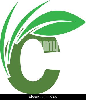 Green eco letters C logo with leaves. /symbol / alphabet / botanical / natural Letter C eco leaves logo icon design template elements Stock Vector