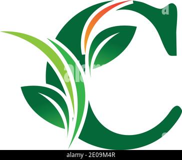Green eco letters C logo with leaves. /symbol / alphabet / botanical / natural Letter C eco leaves logo icon design template elements Stock Vector