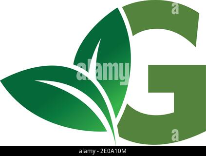 green eco leaf letter G logo illustration design template Stock Vector