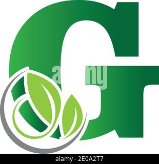 green eco leaf letter G logo illustration design template Stock Vector