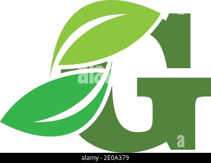 green eco leaf letter G logo illustration design template Stock Vector