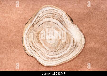 Natural organic eco-friendly pedestal. Wooden cross section cut on craft eco paper surface. Award showcase for cosmetic products. Product Stock Photo