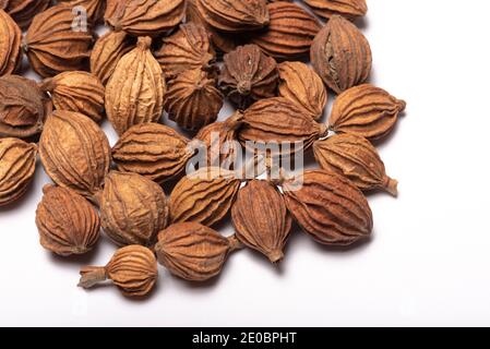 Heap of amomum villosum Lour dried fruit on a white background Stock Photo