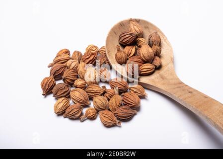 Heap of amomum villosum lour dried fruit with a wooden spoon on a white background close-up view Stock Photo