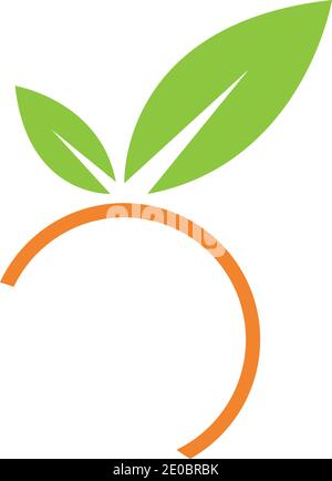 Orange logo design Vector icon illustration design Stock Vector