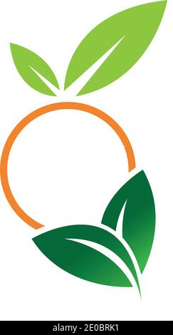 Orange logo design Vector icon illustration design Stock Vector