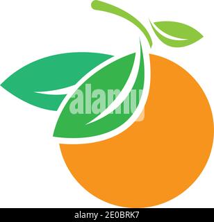 Orange logo design Vector icon illustration design Stock Vector