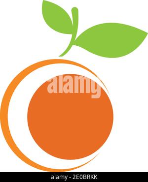Orange logo design Vector icon illustration design Stock Vector