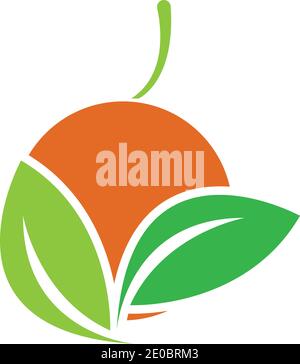 Orange logo design Vector icon illustration design Stock Vector