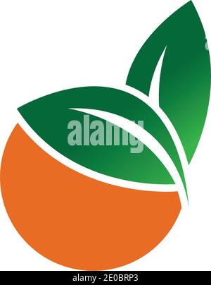 Orange logo design Vector icon illustration design Stock Vector