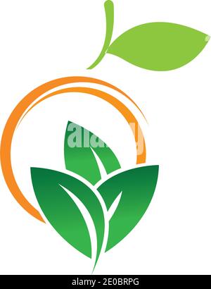 Orange logo design Vector icon illustration design Stock Vector