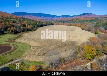 Aerial view of a corn maze in Stowe, Vermont during peak autumn foliage. Stock Photo