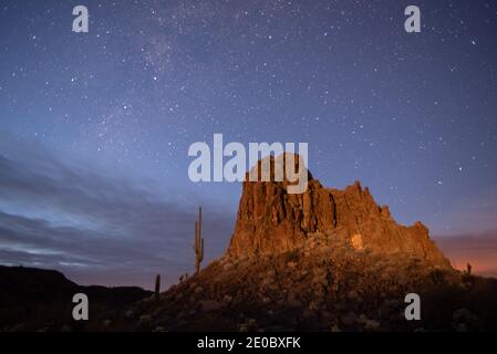 Sonoran Desert under a starry sky Stock Photo