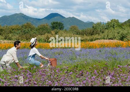 Young couples in the suburbs to ride a bicycle Stock Photo