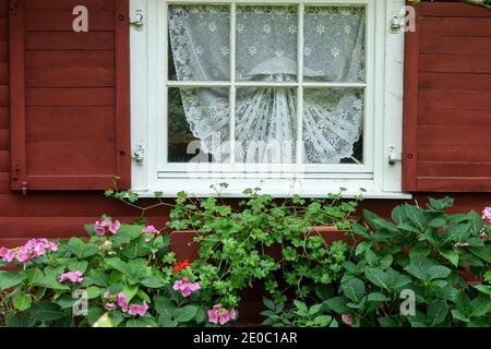 Suburb garden shed curtains in the window Germany Stock Photo