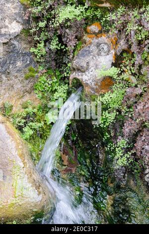 Detail of a spout within the Hundred Fountains (Cento Fontane) in the garden of Villa d'Este, Tivoli, Italy Stock Photo