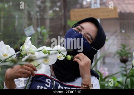 Beautiful female tourists who wear hijab visiting flower gardens during the pandemic wear masks to comply with health and safety protocols from COVID Stock Photo