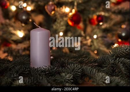 White candle on Christmas tree Stock Photo