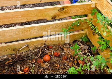 Wooden compost bin in an allotment garden wooden compost bin Stock Photo