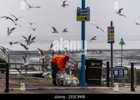 Southend on Sea, Essex, UK. 31st Dec, 2020. The last day of 2020 has dawned cold and frosty with sub-zero temperatures. Despite being in COVID 19 Tier 4 the town has been very popular, with visitors crowding on the seafront promenades. To counter this the council have announced that they will be closing the seafront car parks and have pleaded with people to stay away. Local authorities in Essex have declared a ‘major incident’, with Southend hospital at capacity. Visitors have filled the seafront bins, with seagulls hoping to get a feed as they're emptied Stock Photo