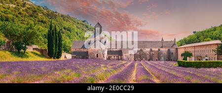 Notre-dame De Senanque Abbey, Vaucluse, France. Beautiful Landscape Lavender Field And An Ancient Monastery Abbaye Notre-dame De Senanque. Elevated Stock Photo