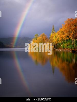 Autumn at Loch Ard, Trossachs, Scotland, United Kingdom, Europe Stock Photo