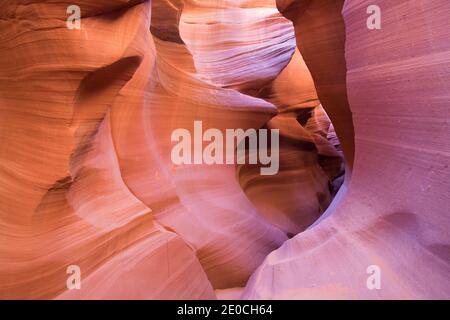 The colourful Navajo sandstone walls of Lower Antelope Canyon, sculpted by water into abstract patterns, Page, Arizona, United States of America Stock Photo