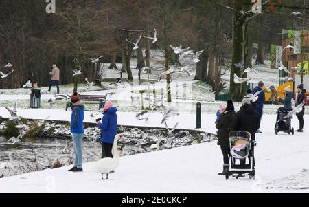 Lurgan Park, County Armagh, Northern Ireland, 31 Dec 2020. UK weather - last day of the year and first snowfall of the winter in Lurgan Park. Credit: David Hunter/Alamy Live News. Stock Photo