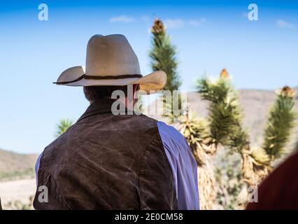 Cowboy driving wagon, Nevada, USA Stock Photo