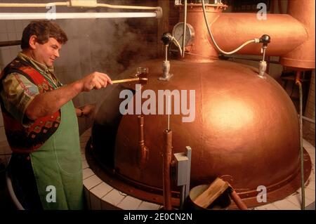 Germany /Bavaria / Munich / Brewing beer in the traditonal way .where the brewmaster is still tasting the beer after it is moved into a copper kettle Stock Photo