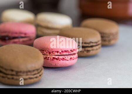 A close up of colourful Macaroons or Macarons in a row focussing on a pink Macaroon amongst chocolate with copy space Stock Photo
