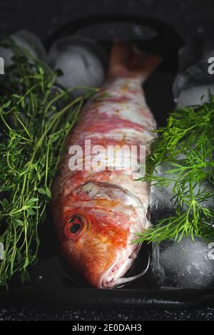Fresh fish. Mullus fish Stock Photo - Alamy