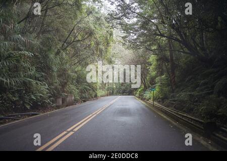 Asphalt roadway surrounded by woods with green trees on overcast day in Alishan Township Stock Photo