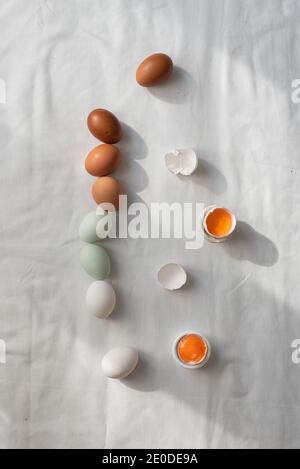 From above of colorful raw eggs placed in row on white table in kitchen Stock Photo