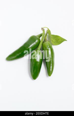 Chillies. Green chilli peppers isolated on white background. UK Stock Photo