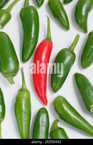 One red chilli peppers isolated on white background Stock Photo - Alamy