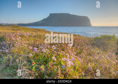 Morning view of Seongsan Ilchulbong known as sunrise peak at Jeju Island, Republic of Korea Stock Photo