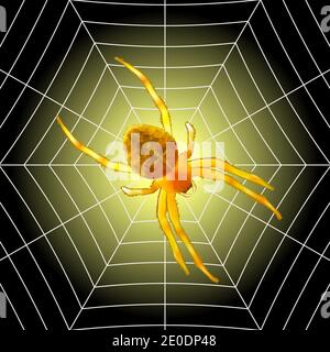 Scary spider sits on a web isolated on black-yellow background.Vector illustration. Stock Vector