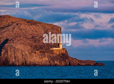 Bass Rock island and lighthouse at sunset, Firth of Forth, Scotland, UK Stock Photo