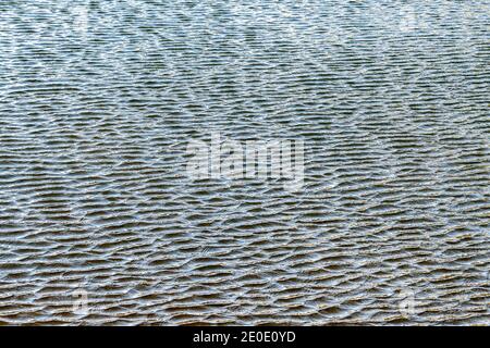 Small ripples on a lake. The wind causes smaller ripples on the main ripples. Stock Photo