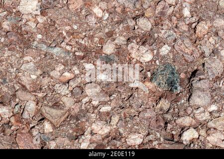 A closeup of a conglomerate rock. It is brown and contains a variety of types of stones.. Stock Photo