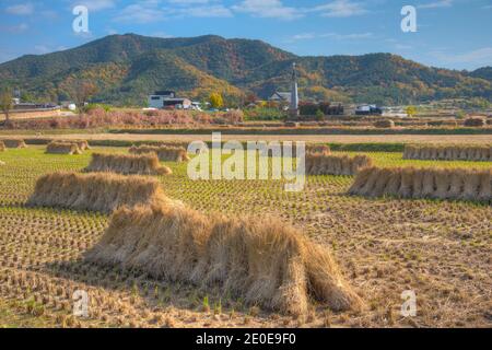 Typical farm houses at Hahoe folk village in Republic fo Korea Stock Photo