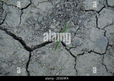 Crack soil on dry season, Global worming effect in spain Stock Photo