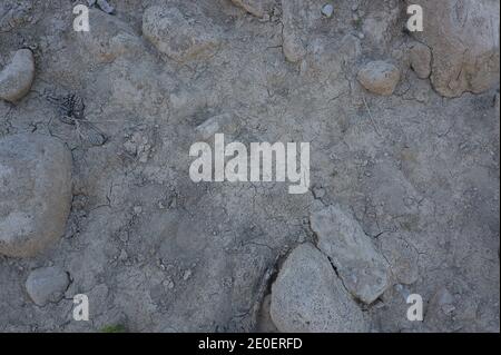 Crack soil on dry season, Global worming effect in spain Stock Photo