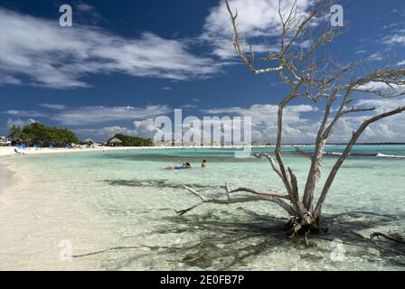 Baby Beach is a shallow, sheltered lagoon located in Seroe Colorado, on the southeast coast of Aruba. Stock Photo