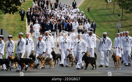 US navy military working dog handlers arrive at the burial service of U.S. Navy Petty Officer 2nd Class Sean E. Brazas of Greensboro, N.C., June 19, 2012 at Arlington National Cemetery in Arlington, Virginia, USA. Brazas was killed last month in Afghanistan by an enemy sniper while he was helping his unit board a helicopter. Photo by Olivier Douliery/ABACAPRESS.COM Stock Photo