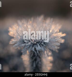 Macro photo of frost covering a post fixture. Sunlight coming from behing creating back lit nature image Stock Photo