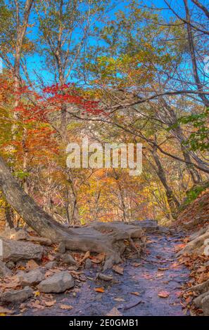 Colorful trees alongside a path at Seoraksan national park in republic of Korea Stock Photo