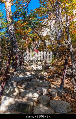 Colorful trees alongside a path at Seoraksan national park in republic of Korea Stock Photo