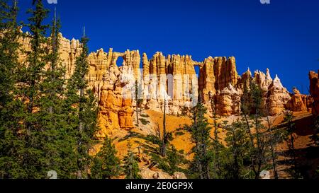 Wall of Windows in Bryce Amphitheater, Bryce Canyon National Park, Utah Stock Photo